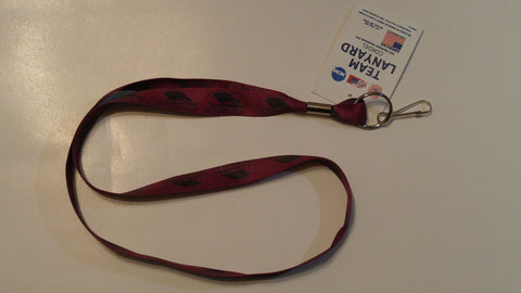 Southern Illinois Salukis Lanyard
