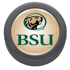 Bemidji State Beavers
