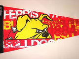 Ferris State Bulldogs 12"x30" Premium Pennant 2