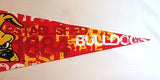 Ferris State Bulldogs 12"x30" Premium Pennant 3