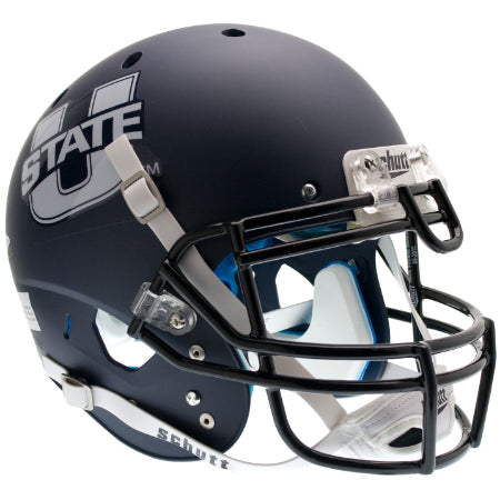 Schutt NCAA Florida International University Panthers Mini Authentic XP Football  Helmet, Navy/Chrome Alt. 2 : : Sporting Goods