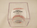 Toronto Blue Jays Logo Baseball In UV Protected Ball Holder 2