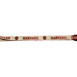 Harvard Crimson 22" Lanyard with Detachable Buckle